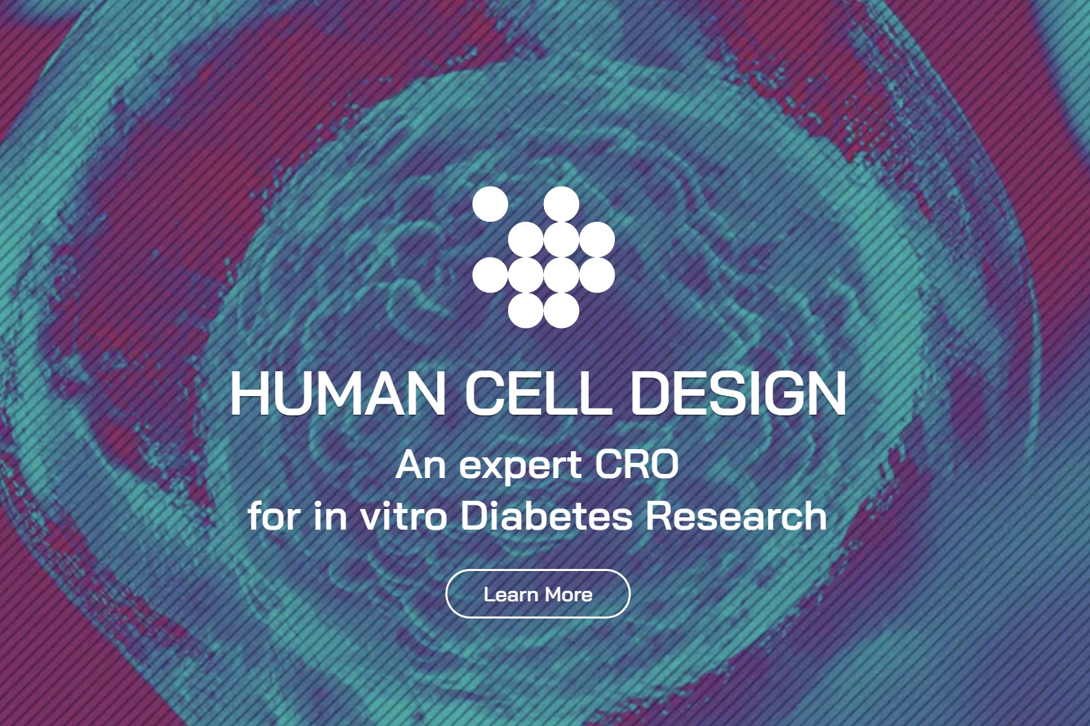 品牌资讯 | 法国Human Cell Design(HCD)胰岛&beta;细胞，澄天跨境供应链助力糖尿病研究
